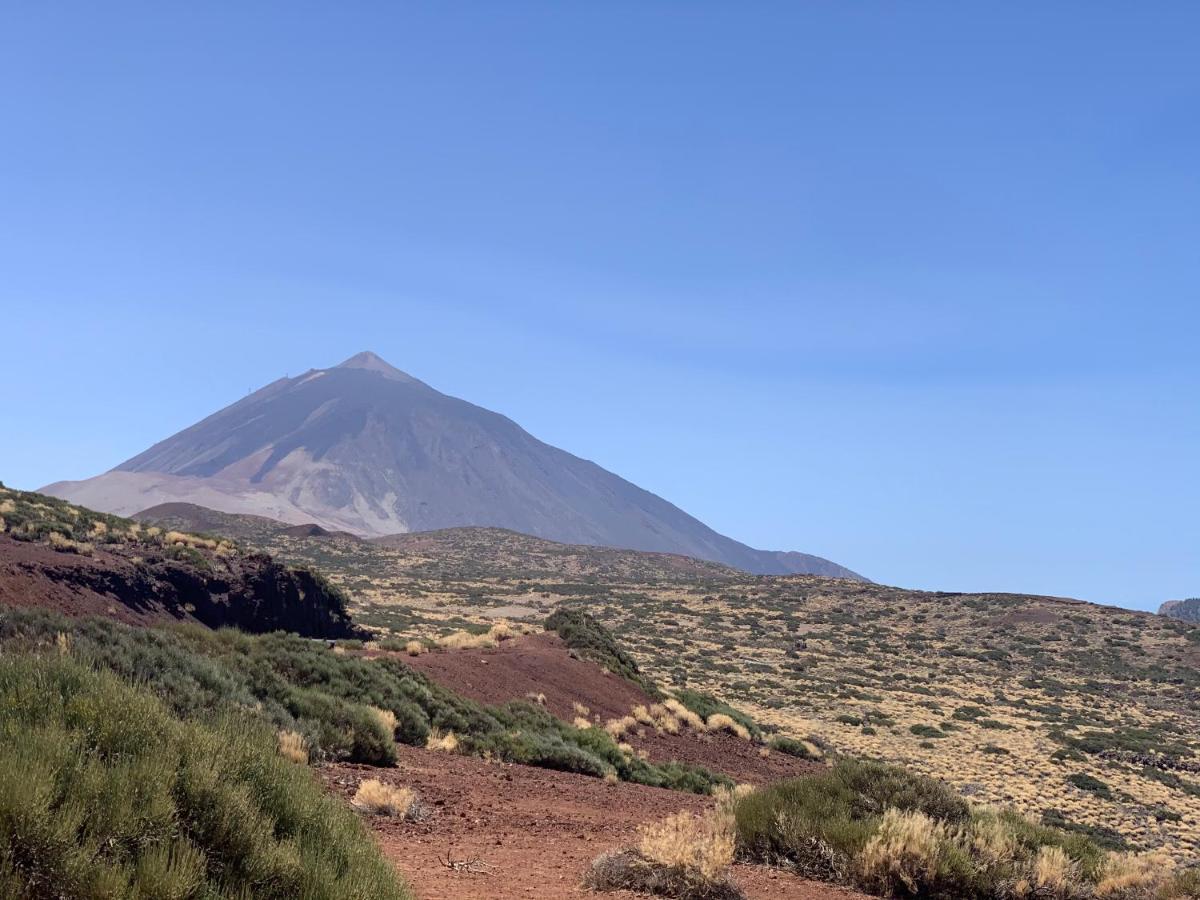 Sunny Tenerife, Los Cristianos, Studio Los Cristianos  Kültér fotó