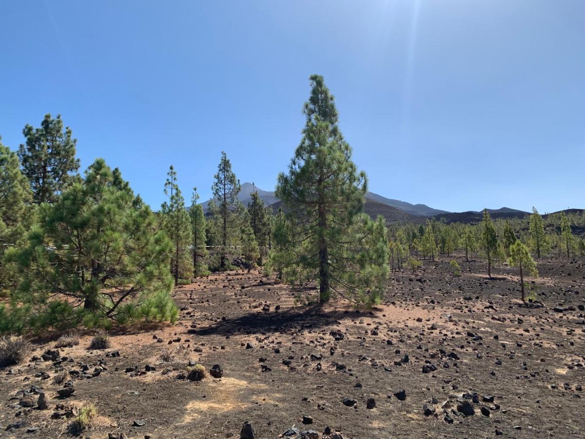 Sunny Tenerife, Los Cristianos, Studio Los Cristianos  Kültér fotó